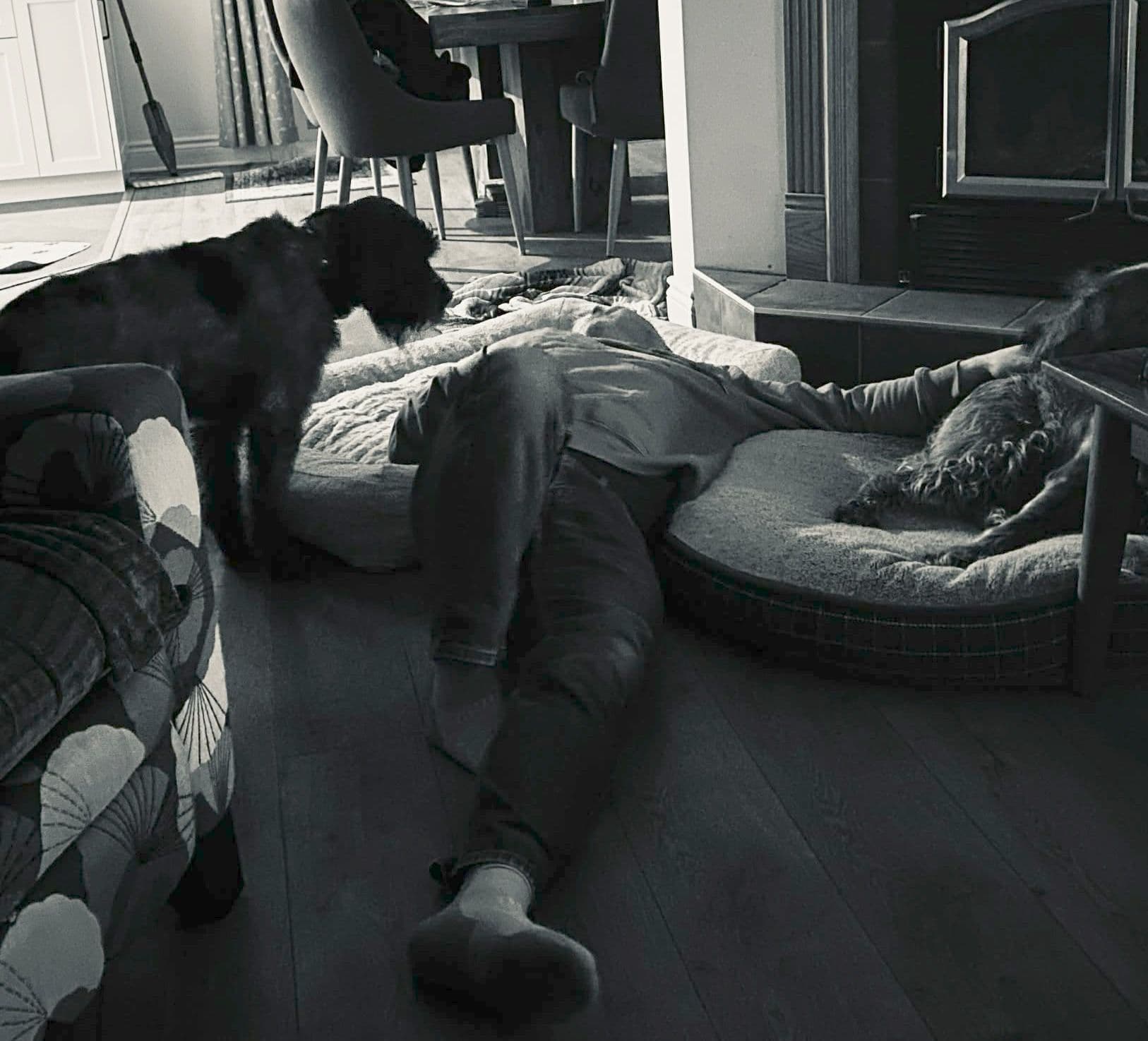Black and white photo of François lying on the living room floor surrounded by Cooper and Artax